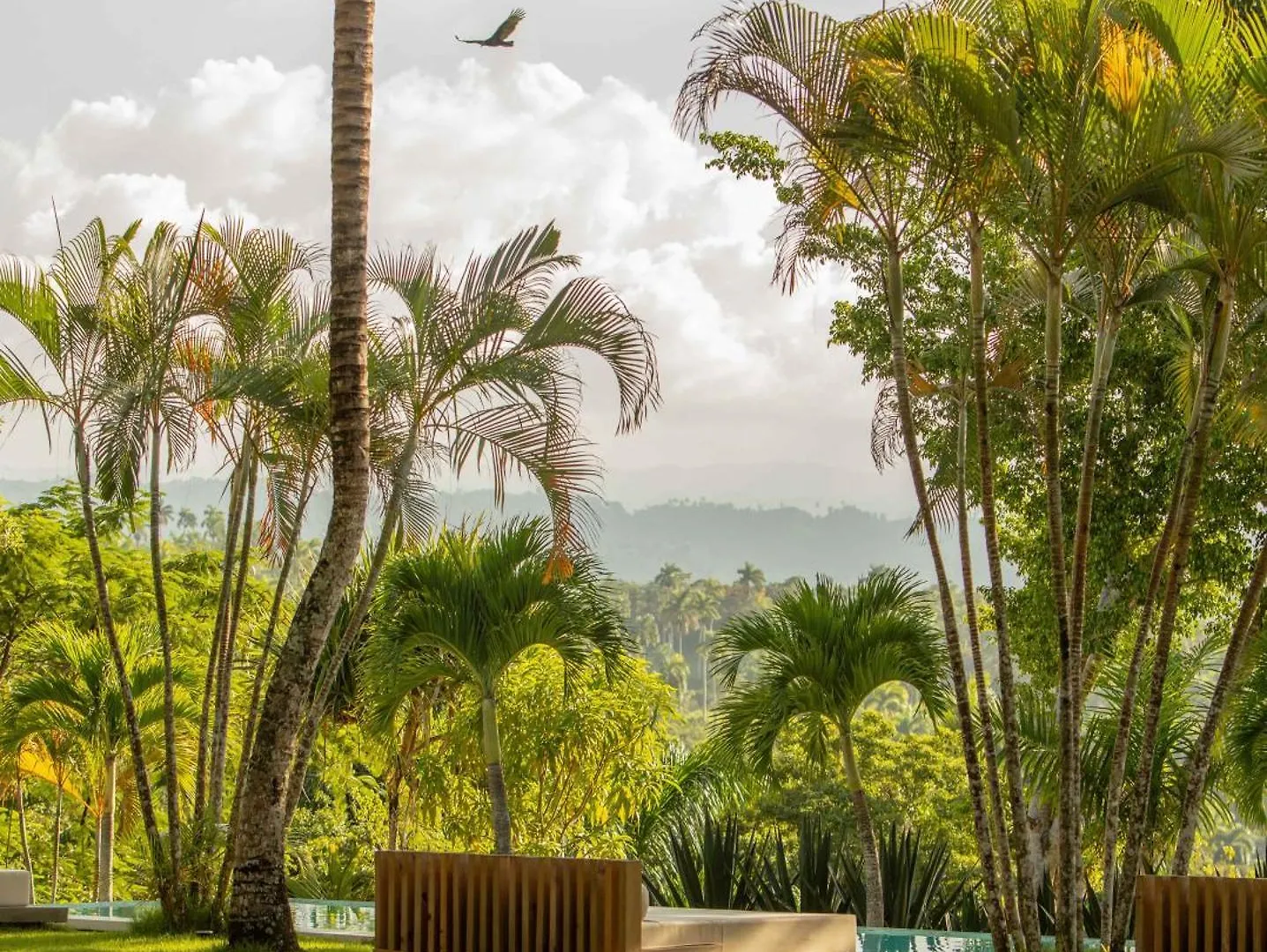 Oya - Wellness Eco Resort & Retreat contacts