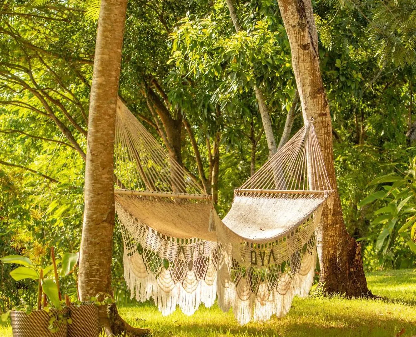 Oya - Wellness Eco Resort & Retreat Jamao al Norte 5*,  Dominican Republic