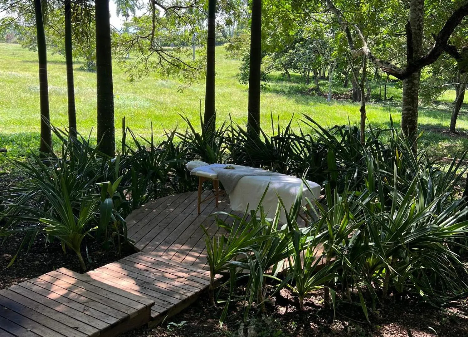 *****  Oya - Wellness Eco Resort & Retreat Jamao al Norte Dominican Republic
